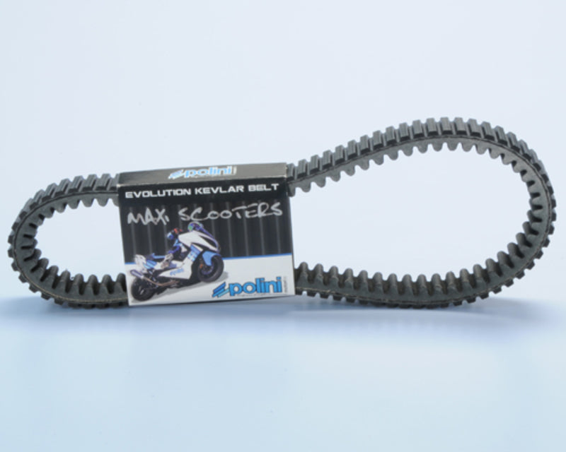 Correa de transmision POLINI Kevlar reforzada(VARIADOR OEM - Polini Hi-Speed)