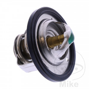 Termostato OEM (Rec. Original)